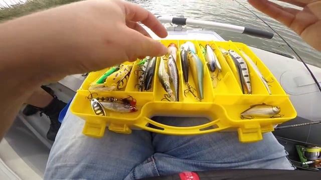 Ловля окуня и щуки на спиннинг осенью, обзор лески WFT Gliss