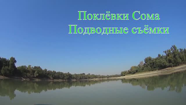 Поклёвки СОМА на КВОК. Подводные съёмки, Ловля сома на живца и куриную печень. Ловля с лодки на реке смотреть онлайн