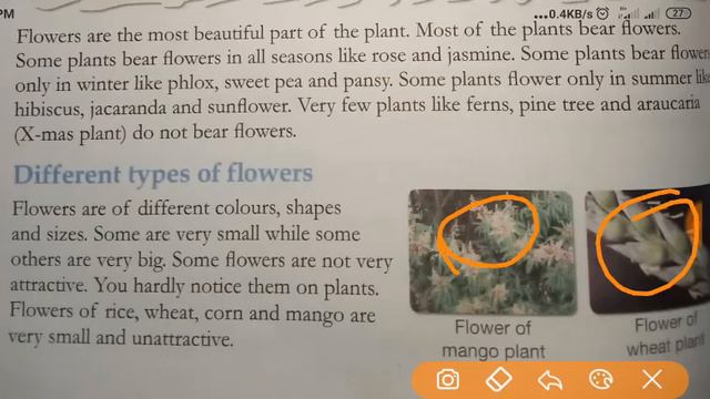 Flower and its parts Class 4 EVS I By Career News Academy смотреть онлайн