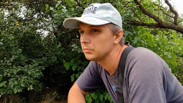 Четвертый день выживания на 200 грн. Канелони