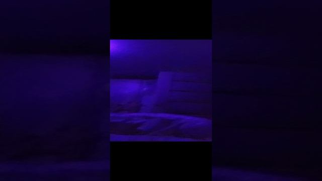 динара звизда🩷🩷🩷 смотреть онлайн