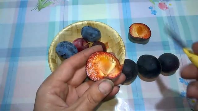 Обзор на чёрный абрикос ! #чёрная_алыча , #чернослив #абрикосы смотреть онлайн