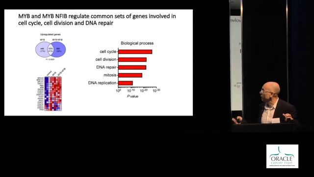 Oracle Research Event 2019 Arturo Sala смотреть онлайн