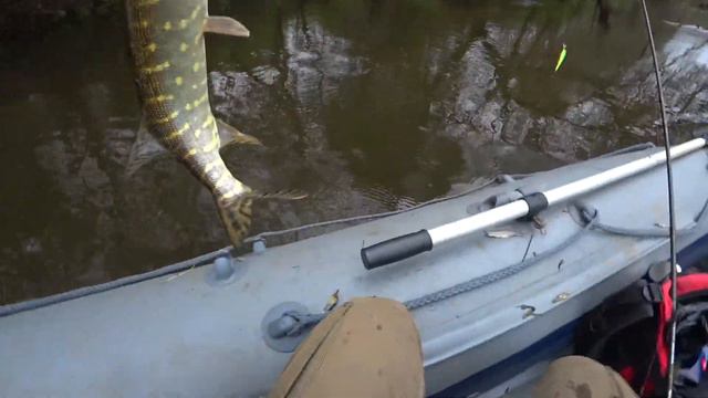 ЩУЧЬЯ НАРЕЗКА!!! смотреть онлайн