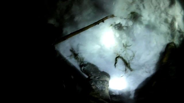 Пресноводная треска смотреть онлайн