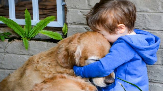 Валентина Осеева "Почему" смотреть онлайн