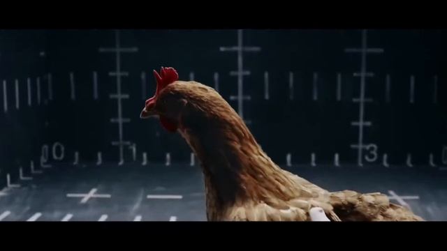 Mercedes-Benz “Chicken” MAGIC BODY CONTROL TV commercial смотреть онлайн