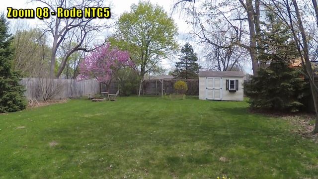 Zoom Q8 Review: All-In-One Audio and Video Setup for Streaming? смотреть онлайн