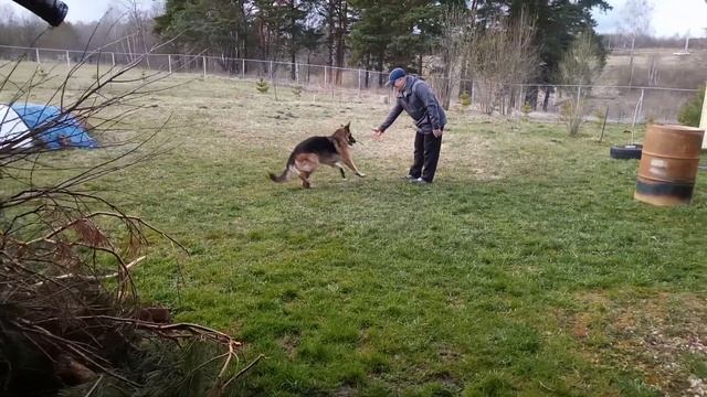 Мирте 11 лет, а в душе как щенок. смотреть онлайн