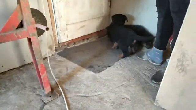 Малховер смотреть онлайн