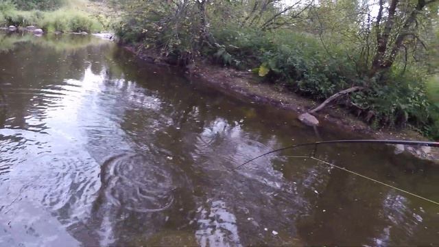 ЩУКА не устояла перед ФОРЕЛЕВОЙ приманкой | Рыбалка на ультралайт | Ловля на микроречке. смотреть онлайн