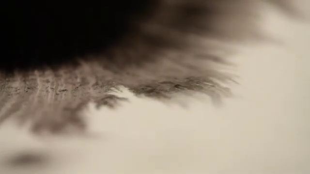 Рисунок тушью на воде / Indian ink in water смотреть онлайн