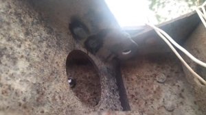 подготовка к установки кузова газ 3307 из бывшего бортового в самосвал