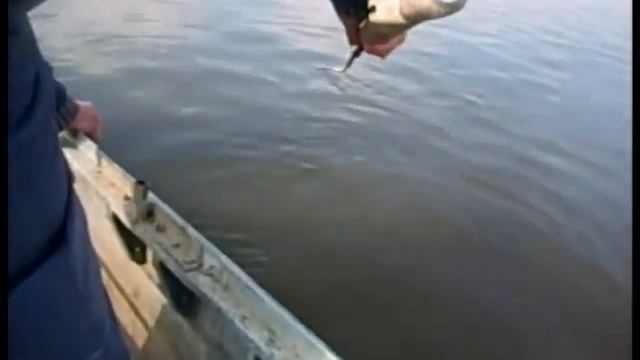 11 ВОТ ЭТО РЫБАЛКА....mp4 смотреть онлайн