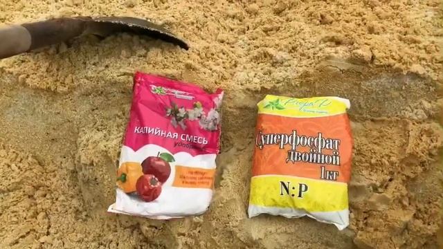 Мой метод подготовки грядок для высадки малины.