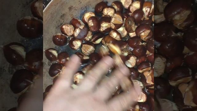 ?Şabalıdın qovrulmasi üsulu смотреть онлайн