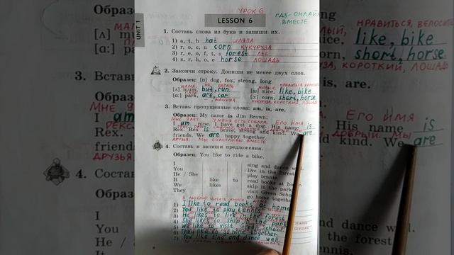 3 класс. ГДЗ. Английский язык. Рабочая тетрадь. Биболетова. Unit 1. Lesson 6. С комментированием. смотреть онлайн