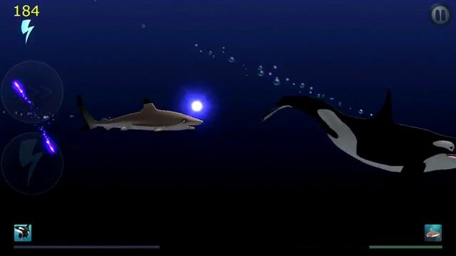 Shark Eaters (Previously I Am Dolphin) Gameplay - Simon & Zooey vs Blacktip смотреть онлайн