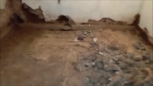 Ремонтирую старый саманный дом - меняю полы - заливаю бетон/Новая Жизнь в деревне