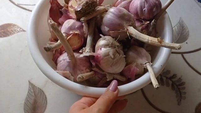 Сибирь/муж привёз грибов/ заготовка соков /начали копать у родителей картофель смотреть онлайн