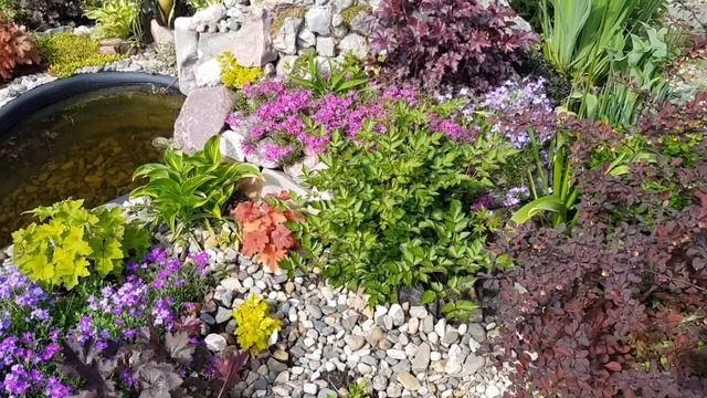 Обзор сада в Подмосковье в начале июня/Новинки в саду смотреть онлайн