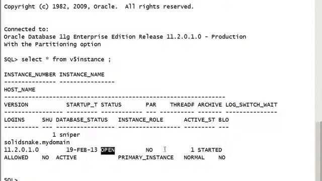 Ora11g_GUI_NoASM_0010_VerifyInstallation смотреть онлайн