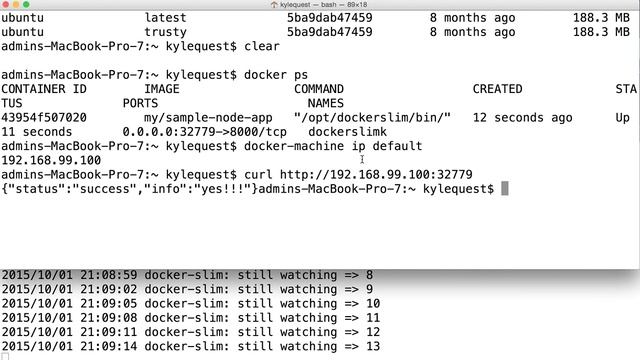 DockerSlim Demo ( Docker Global Hack Day ) смотреть онлайн