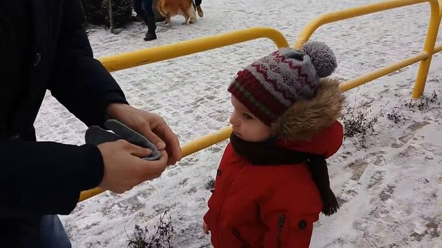 Польша. Гданьск. Балтийское море. Январь, 2016. смотреть онлайн