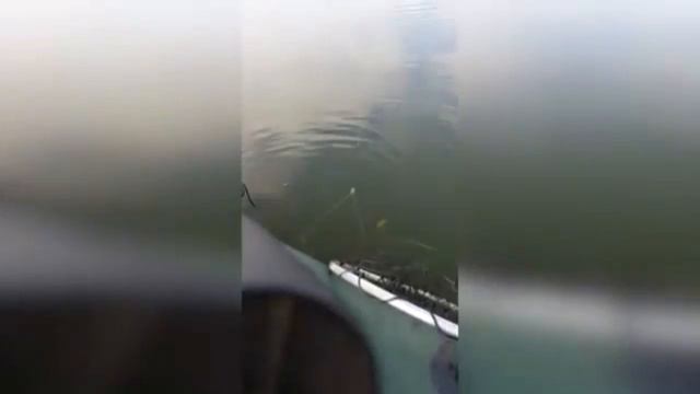 Рыбалка с Олегом Хитмановичем смотреть онлайн