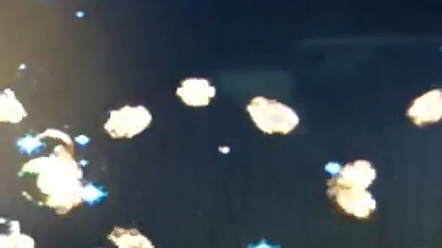 Video Aux Input on the 2008 W204 C Class 480p смотреть онлайн