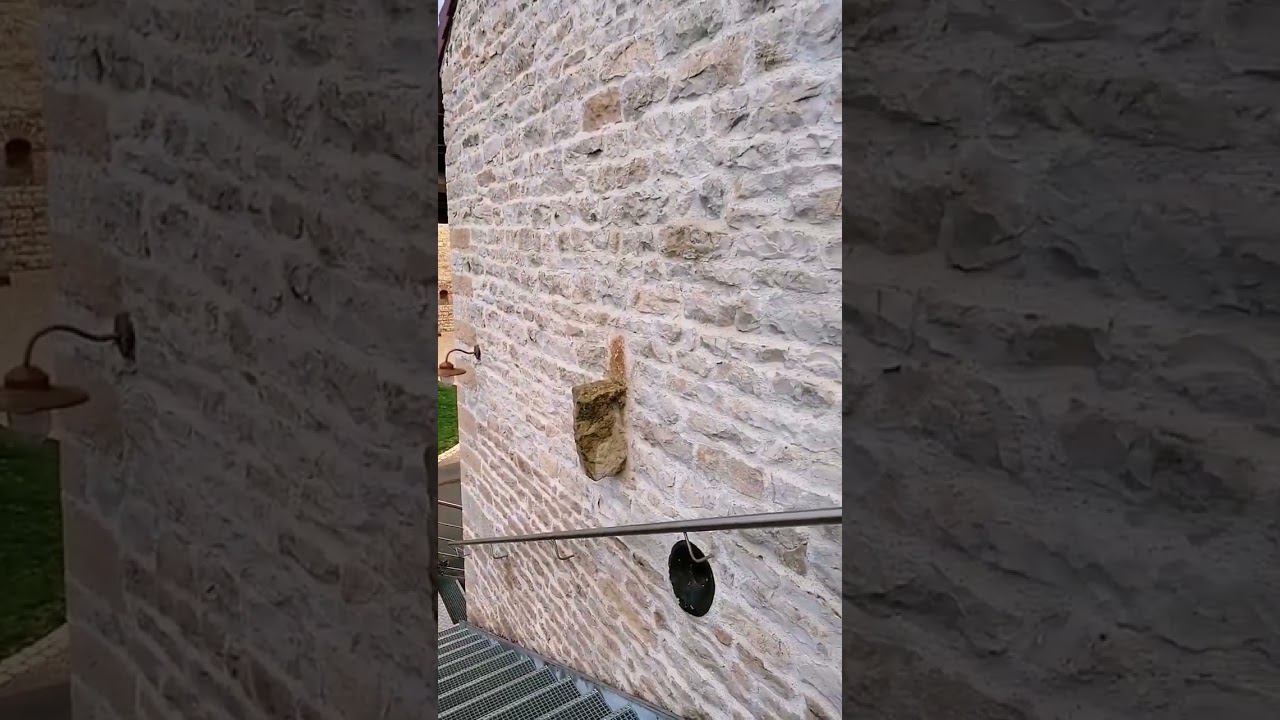 Ферма за миллион евро смотреть онлайн