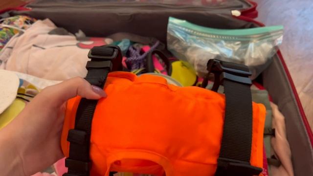 Собираем чемодан для собаки на море // Что взять для собаки в отпуск смотреть онлайн