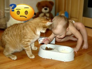 Заклятые друзья! Милота! Дети с животными!