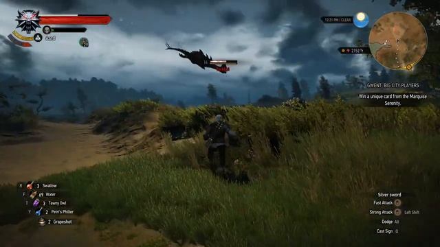 [The Witcher 3] NVENC recording test смотреть онлайн