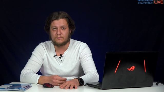 Секреты Творческой Гениальности