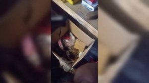 X96 смарт приставка не включается. ремонт смарт приставки. ремонт тюнера т2