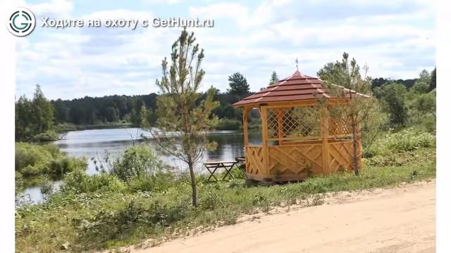 Охота в Тверской области – Охотхозяйство «Экомир» охота на лося в Тверской области смотреть онлайн