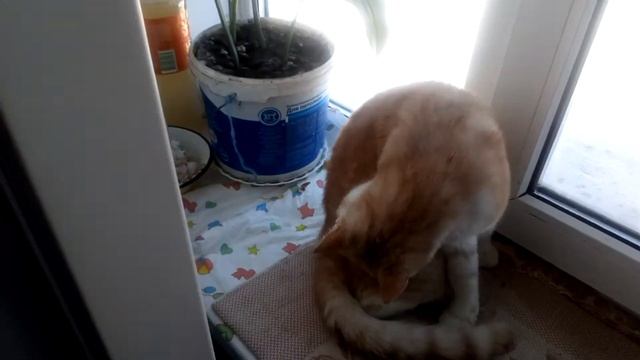 купили новый холодильник смотреть онлайн