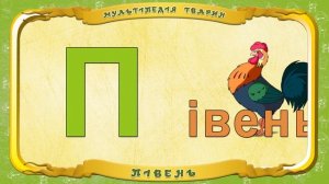 Мультіпедія тварин - Літера П - Півень