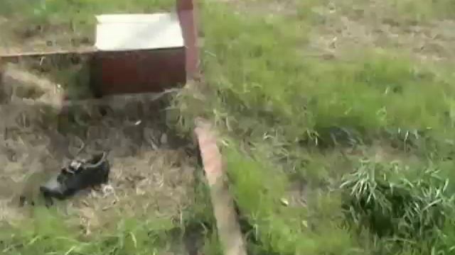 Видео отчет с рыбхоз Бисерово.mp4 смотреть онлайн