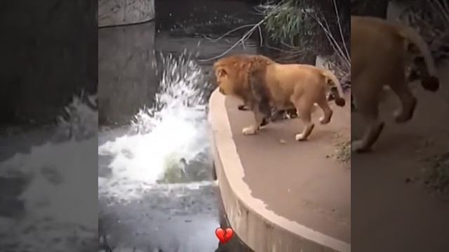 ХВХВХВЗ СМЕШНО смотреть онлайн