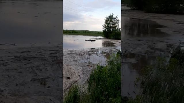 6 июня 2022 г. смотреть онлайн