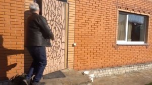 VLOG Алиса разбила губу. Даша плачет. Весенний шоппинг.