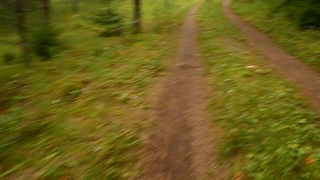 ?? Грибы и земляника на нашем участке Продаю дачу на #Селигере смотреть онлайн