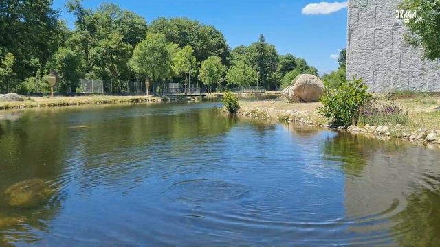 Iº Jornadas de Tecnificación Draga Leralta en el Río Tormes смотреть онлайн