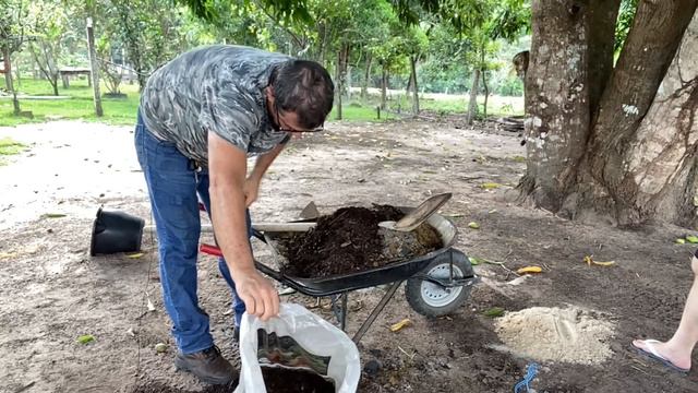 Seguidora Satisfeita: As Melhores Dicas para Rosas Exuberantes смотреть онлайн