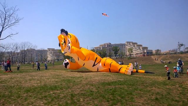 Запуск воздушного змея "Тигр". Набережная ДВФУ смотреть онлайн