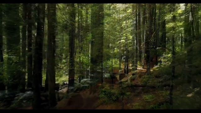 Звуки природы, шум леса, пение птиц /sounds of nature, birdsong, forest noise,relax music смотреть онлайн
