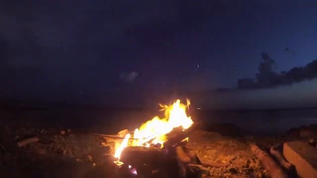 побег из курятника 20.06.2016г смотреть онлайн