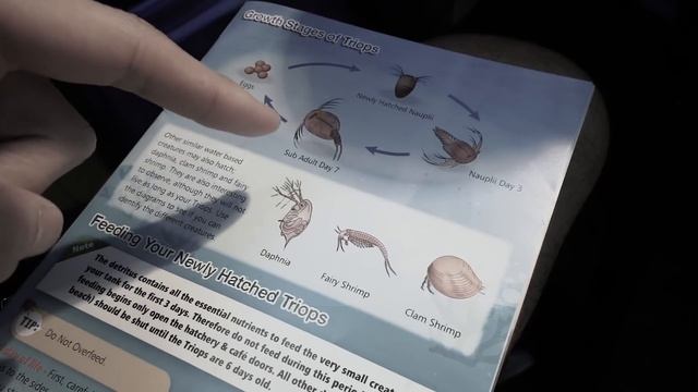 MEU TRIOPS ta GIGANTE! Os Animais da época dos Dinossauro смотреть онлайн